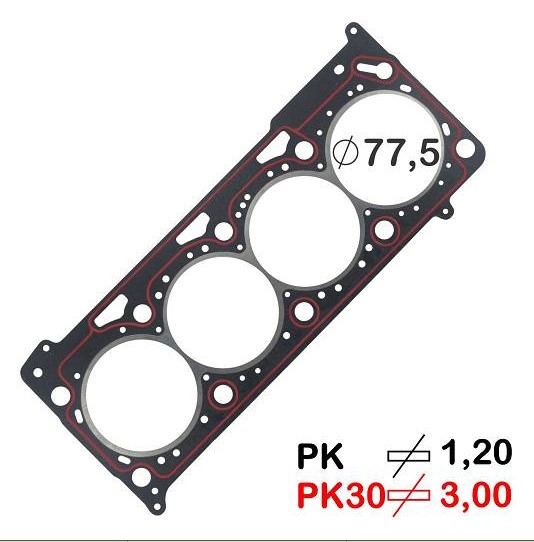 111595PK30
