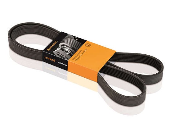 3PK796ELASTICA