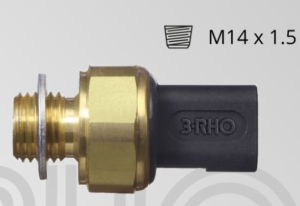 3RHO-77124