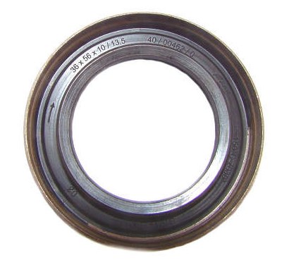 55250937