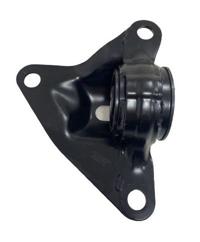 ACX07061
