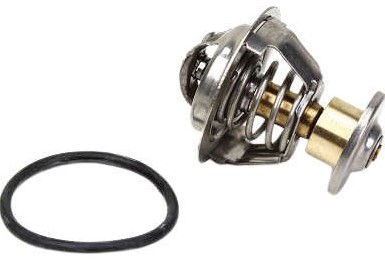 AVTS06008T82