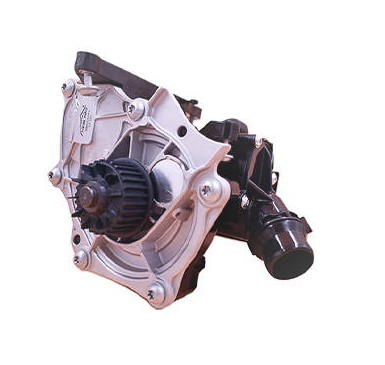 BBD15081