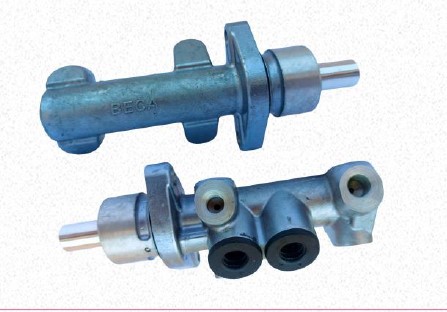 BCCM-70113