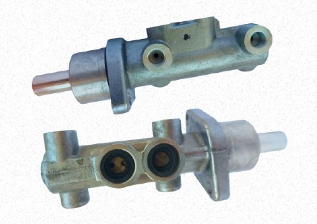 BCCM-7054