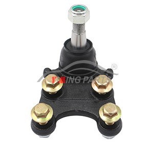 BPS12048
