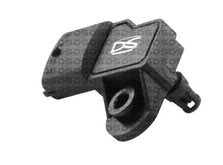 DS1717