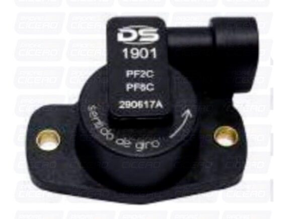 DS1901