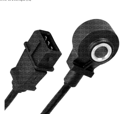 DS2109