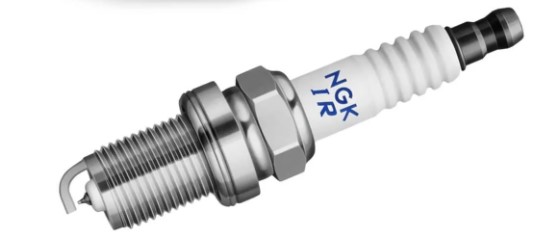 ILTR5P11D