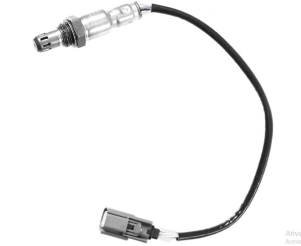 OZA713-D19